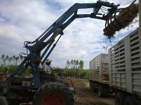 ขายรถไถคีบ  260000 บาท