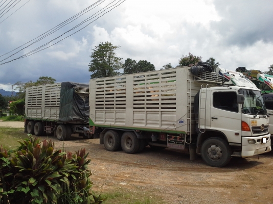 ขายด่วน รถพ่วง 22 ล้อ แม่ลูก Hino mega fm 320 แรงม้า รถบ้าน สภาพสวย