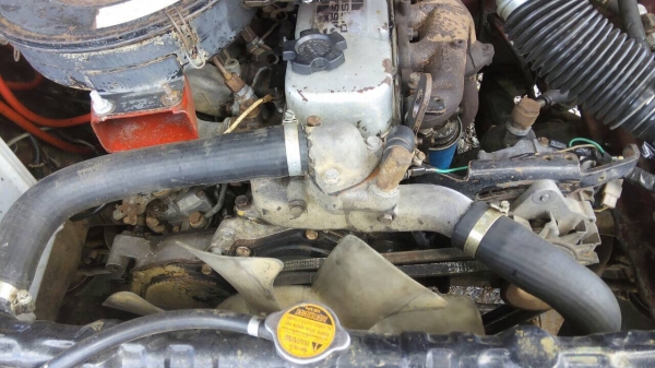 ขายกระบะตอนเดียว NISSAN เครื่องฝาขาว คัสซีสวยตลอดเส้น ทะเบียนพร้อมโอน ขายกระบะตอนเดียว NISSAN เครื่องฝาขาว คัสซีสวยตลอดเส้น ทะเบียนพร้อมโอน