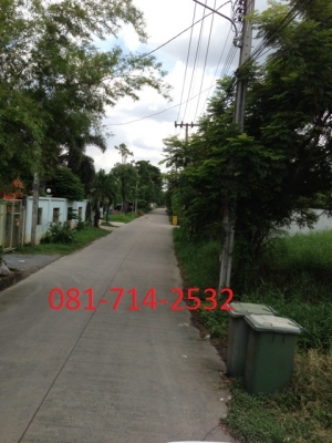 ขายที่ดิน ถ.นครอินทร์-พระราม5 (หลังโรงแรมริช โฮเต็ล) Land for sale Rama 5 Rd, ขายที่ดิน ถ.นครอินทร์-พระราม5 (หลังโรงแรมริช โฮเต็ล) Land for sale Rama 5 Rd,