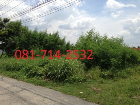 ขายที่ดิน ถ.นครอินทร์-พระราม5 (หลังโรงแรมริช โฮเต็ล) Land for sale Rama 5 Rd, ขายที่ดิน ถ.นครอินทร์-พระราม5 (หลังโรงแรมริช โฮเต็ล) Land for sale Rama 5 Rd,