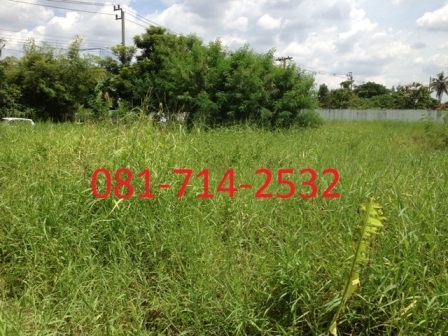 ขายที่ดิน ถ.นครอินทร์-พระราม5 (หลังโรงแรมริช โฮเต็ล) Land for sale Rama 5 Rd, ขายที่ดิน ถ.นครอินทร์-พระราม5 (หลังโรงแรมริช โฮเต็ล) Land for sale Rama 5 Rd,