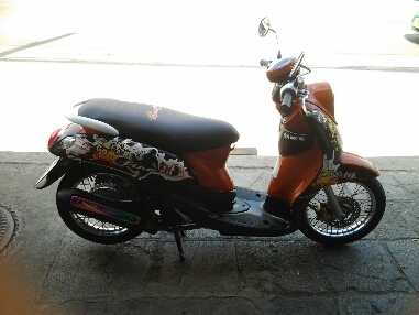 ฟีโน่ปี51