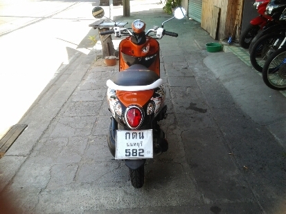 ฟีโน่ปี51