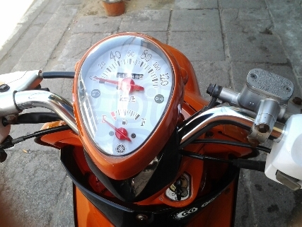 ฟีโน่ปี51