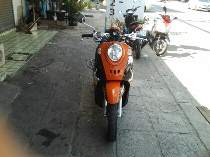 ฟีโน่ปี51