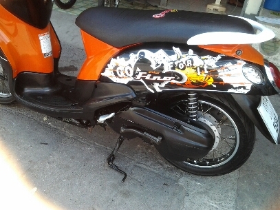 ฟีโน่ปี51