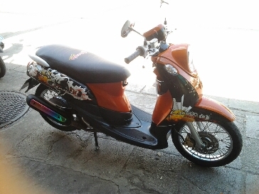 ฟีโน่ปี51