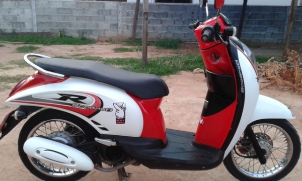 ขายสกุ๊ปปี้ไอปี54เดิมๆ-18800