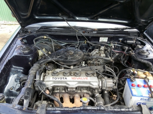 ขายcorona หน้ายิ้มสภาพพร้อมใช่ราคา23,000 ขายcorona หน้ายิ้มสภาพพร้อมใช่ราคา23,000