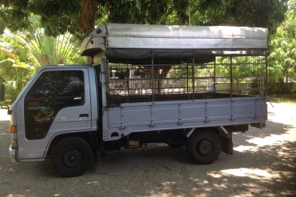 ขาย 4 ล้อ ไม่ติดเวลา