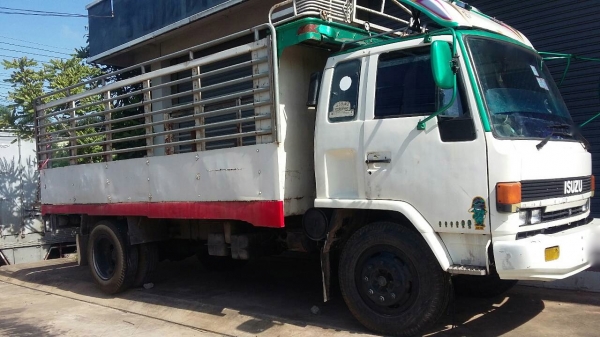 รถอีซูซุ 6 ล้อ หลังถนน 145 แรงม้า.    สนใจติดต่อ  081 - 6079515