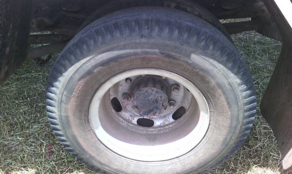 รถอีซูซุ 6 ล้อ หลังถนน FTR 175 แรงม้า.  ( รถห้างแท้. )    สนใจติดต่อ  081 - 6079515