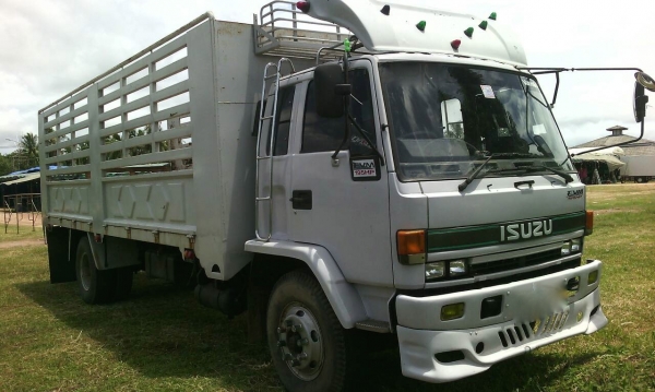 รถอีซูซุ 6 ล้อ หลังถนน FTR 175 แรงม้า.  ( รถห้างแท้. )    สนใจติดต่อ  081 - 6079515