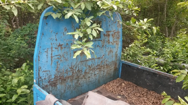 ขายกระบะรถเชียงกง 170X315ม. ใส่4ล้อ-6ล้อเล็กครับ ขาย 9500 บาท