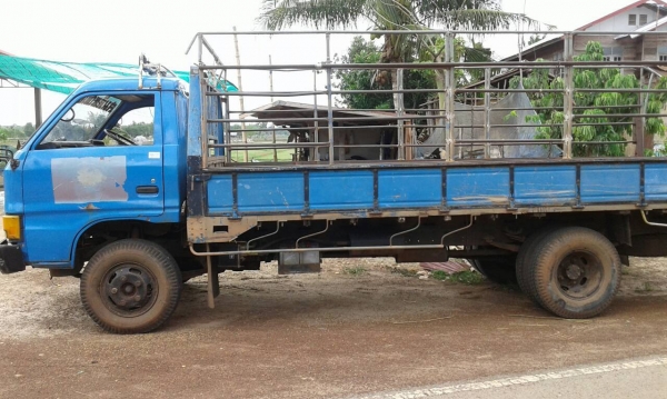 ISUZU KS 100แรง เครื่อง 4BC2ฝาดำ หัวก๋งยกได้ มัดจำ 10000 จากคุณแม่ทาง101