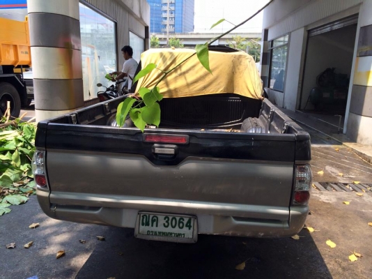 ขายซาก มิซูสตราด้า แคป เล่มพร้อมโอน