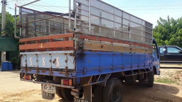 ขาย6ล้อ อีซูซุ NKR110 ยาว4.30เมตร แชชซีสวยเครื่องดี พร้อมคอกเสริมข้าง เอกสารพร้อมโอนภาษีเต็ม
