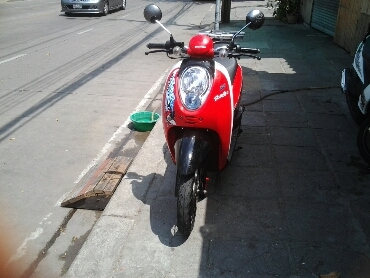 สกุบปี้ไอปี55