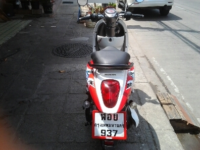 สกุบปี้ไอปี55