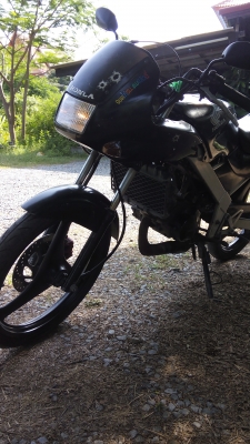 ขายฮอนด้าบีท110 ขายฮอนด้าบีท110