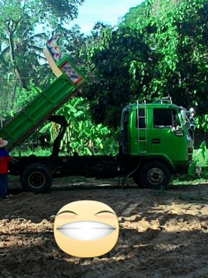 ขายด่วน หกล้อดั้ม175