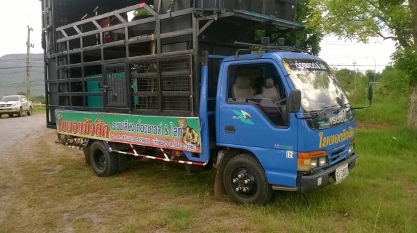 ขาย 6 ล้อ NKR 120 แรงม้า จดทะเบียนปี 41 คัสซีสวยตลอดเส้น เครื่องดี ทะเบียนพร้อมโอนครับ ขาย 6 ล้อ NKR 120 แรงม้า จดทะเบียนปี 41 คัสซีสวยตลอดเส้น เครื่องดี ทะเบียนพร้อมโอนครับ