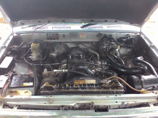 ขายไมตี้แคปโปร่งหน้าหลัง2.5 เครื่องดี คัดชีสวย ช่วงล่างแน่น ภาษีไม่ขาด แมคลายเนอ  พร้อมใช้งาน