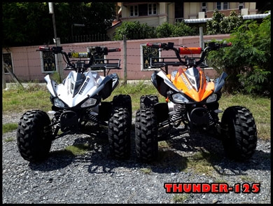 จำหน่ายatv 2015