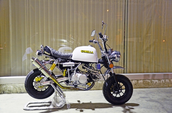 มังกี้ กอลิล่า แต่งๆๆ ลดราคาทุกรุ่นและมีของแถมอีกมากมาย  ด่วนๆๆ ลดๆๆ