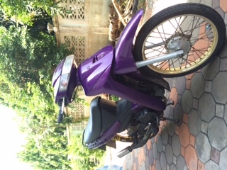 Suzuki Royal Crystal Suzuki Royal Crystal