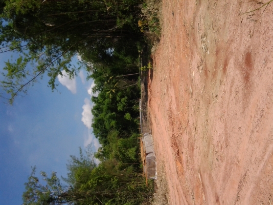 085-7666984 รับตอกเสาเข็มนครราชสีมา