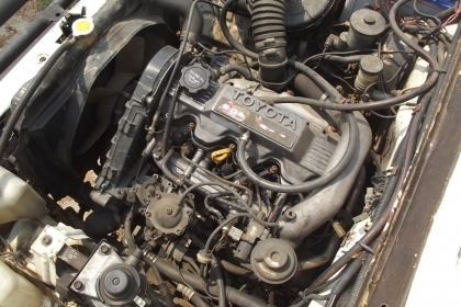 ขาย SUZUKI ตู้ปลา