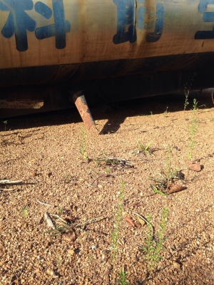 ถังน้ำสแตนเลสติดรถ สวยสุดหนาๆ