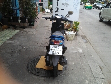 มีโอปี49