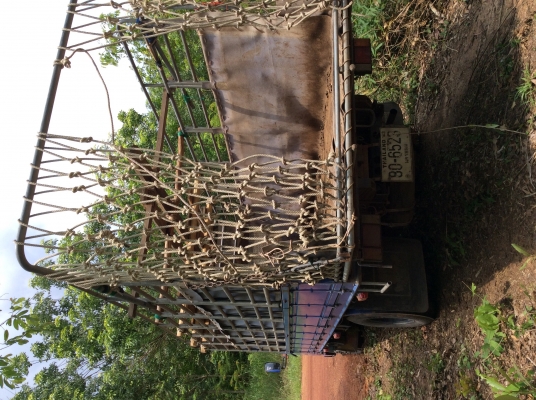 ขายด่วน isuzu NPR 130 แรงม้า เทอร์โบ พิเศษลดสุดๆ550,000****