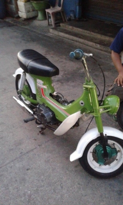 ขายถูกๆ ขายด่วนๆ ครับ ขายถูกๆ ขายด่วนๆ ครับ