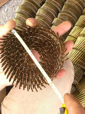 ตะปูม้วนใช้กับปืนยิงตะปูลมหรืไฟฟ้า ยี่ห้อ LION ขนาดยาว 1.5 นิ้ว แบบเป็นม้วนตามภาพ