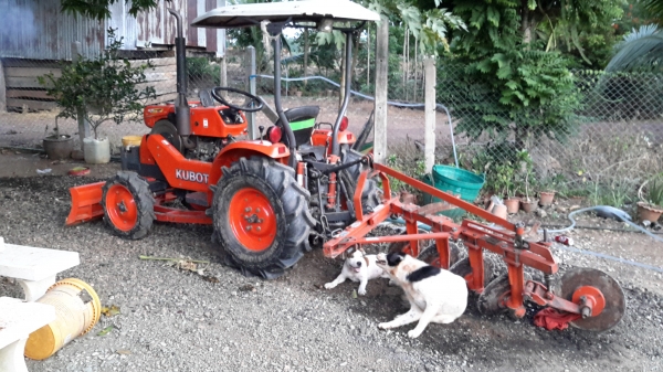 ขายครับKRT140พลัส ใบมีดผานหลังสวย พร้อมส่งถึงบ้าน