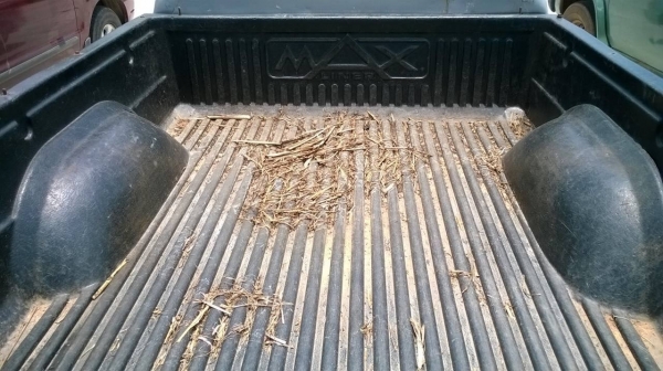 ขายไมตี้เอกซ์แคป ปี 38 แปลงหน้าเต็ม โป่งหน้าหลัง เครื่องดี มีแอร์ ไม่เวอร์ คัสซีสวย ทะเบียนพร้อมโอน ขายไมตี้เอกซ์แคป ปี 38 แปลงหน้าเต็ม โป่งหน้าหลัง เครื่องดี มีแอร์ ไม่เวอร์ คัสซีสวย ทะเบียนพร้อมโอน