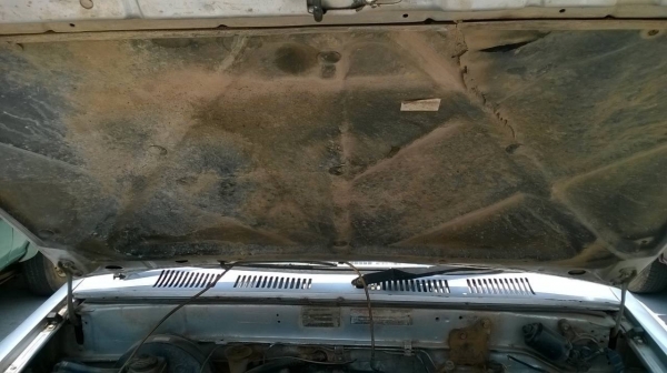 ขายไมตี้เอกซ์แคป ปี 38 แปลงหน้าเต็ม โป่งหน้าหลัง เครื่องดี มีแอร์ ไม่เวอร์ คัสซีสวย ทะเบียนพร้อมโอน ขายไมตี้เอกซ์แคป ปี 38 แปลงหน้าเต็ม โป่งหน้าหลัง เครื่องดี มีแอร์ ไม่เวอร์ คัสซีสวย ทะเบียนพร้อมโอน