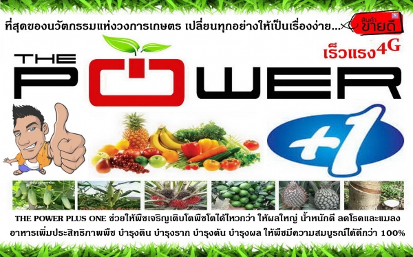 เดอะพาวเวอร์นาโน อาหารเสริมพืช เดอะพาวเวอร์นาโน อาหารเสริมพืช