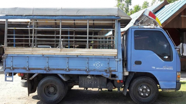 ขาย6ล้อช่วงสั้น ISUZU NKR วางเครื่อง2JZ เครื่องดี แคชซีสวย ยางดี ภายในสวย สภาพพร้อมใช้งาน เอกสารพร้อมโอน สนใจโทร 090-8588220คุณนะ 093-3258446คุณบิว