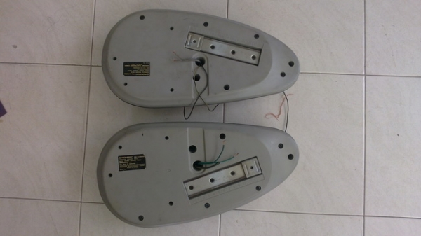 ไพโอเนียเก่ายุ่น1คู่