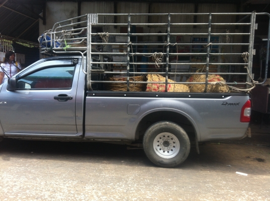 isuzu หัวเดียว ปี2007 ขายพร้อมคอก ไม่เคยชนหนักทำสี