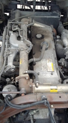 ขายด่วน10หัวลาก