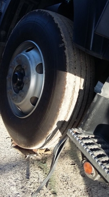 ขายด่วน10หัวลาก