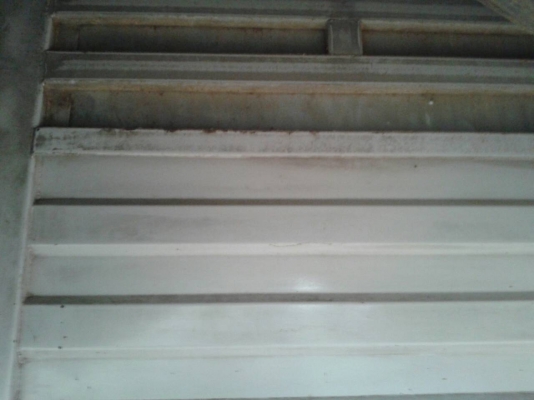 หางไม่ดั้ม ยี่ห้อเตะฮะหลี