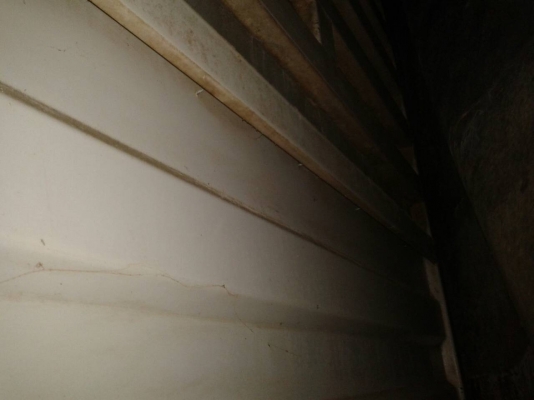 หางไม่ดั้ม ยี่ห้อเตะฮะหลี