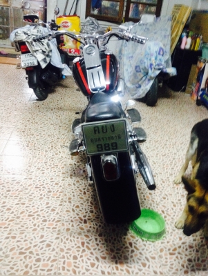 steed  6000 ทะเบียนแท้